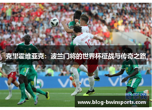克里霍维亚克：波兰门将的世界杯征战与传奇之路