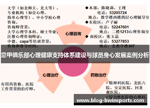 意甲俱乐部心理健康支持体系建设与球员身心发展案例分析