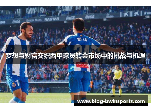 梦想与财富交织西甲球员转会市场中的挑战与机遇