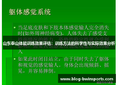 山东泰山体能训练效果评估：训练方法的科学性与实际效果分析