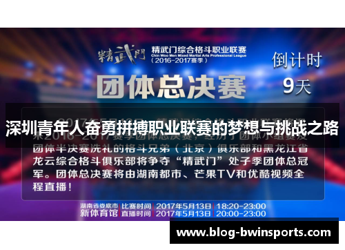 深圳青年人奋勇拼搏职业联赛的梦想与挑战之路