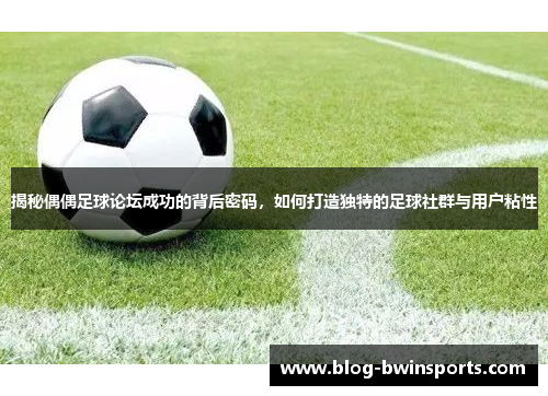 揭秘偶偶足球论坛成功的背后密码，如何打造独特的足球社群与用户粘性